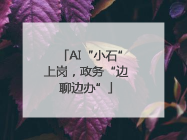 AI“小石”上岗，政务“边聊边办”